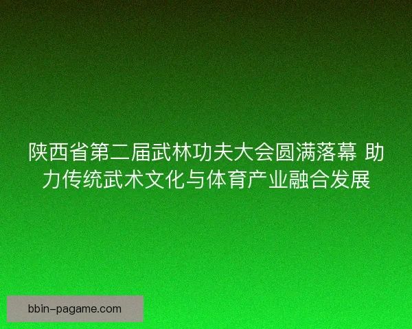 陕西省第二届武林功夫大会圆满落幕 助力传统武术文化与体育产业融合发展